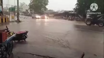 आगर: आगर में शाम को तेज बारिश, कई जगह जलभराव, तेज हवा से पेड़ गिरे