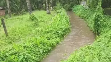 ചാവക്കാട്: മാലിന്യത്തോടായി പാവറട്ടിയിലെ കോഴിത്തോട്, വൃത്തിയാക്കാത്തതിനാൽ പ്രദേശവാസികൾ ദുരിതത്തിൽ #localissue