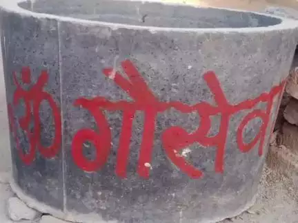 पोरसा: पोरसा में गौ सेवकों ने बेजुबान पशुओं के लिए रखी नाद टंकी, भरा जा रहा ठंडा जल
