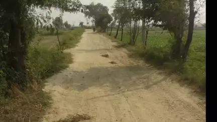 मांट: गांव भालई में अब तक नहीं बनी हैं सड़कें, लोगों को होती है परेशानी #jansamasya