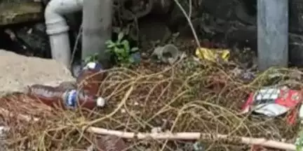 उत्तर सोलापूर: सात रस्ता मुन्सिपल कॉलनी येथे कचऱ्याचे साम्राज्य, महिलांनी व्यक्त केला संताप...