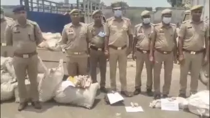 शामली: शामली पुलिस ने ऑपरेशन क्लीन के तहत 3632 किलो नशीले पदार्थों का विनष्टीकरण कराया, कोर्ट के आदेश पर हुई कार्रवाई