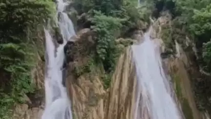 देहरादून: कैम्पटी फॉल मसूरी में सांप दिखने से मची अफरा-तफरी, वीडियो हुआ वायरल