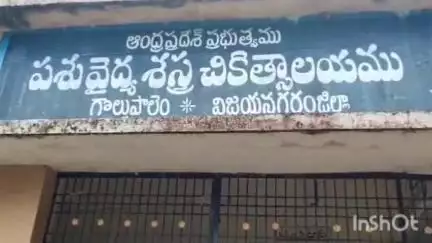 విజయనగరం: బొండపల్లి మండలం గొల్లిపాలెంలో పశు వైద్యులు అందుబాటులో లేక పాడి రైతుల ఇబ్బందులు #localissue