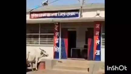 ताल: लाल पूरा में बकरे बेचने के पैसे को लेकर हुए विवाद में बेटे ने पिता के साथ की मारपीट, मामला दर्ज