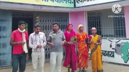 मोहला मानपुर अम्बागढ़ चौकी जिले में 185 पंचायतों में एक साथ वृक्षारोपण, 'एक पेड़ मां के नाम' बना जनअभियान