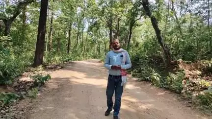 लातेहार: लातेहार जिले में लगातार मुठभेड़ के बाद उग्रवादी नक्सली माओवादी गतिविधि हुई ठप