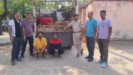 मुंगेली: लोरमी में पुलिस ने राजकीय वृक्ष साल के तस्करों को अवैध परिवहन करते पकड़ा, ईमारती कच्ची लकड़ी और पिकअप वाहन किया ज़ब्त
