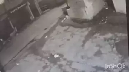 रानीखेत: रानीखेत में गुलदार की बढ़ती सक्रियता से लोगों में दहशत, मसाला गली में सीसीटीवी में कैद हुई चहलकदमी