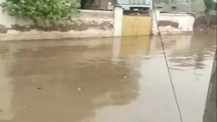 नोखा: नोखा में शनिवार को हुई बारिश ने प्रशासन की पोल खोली, निचले इलाकों में भरा पानी, आमजन परेशान