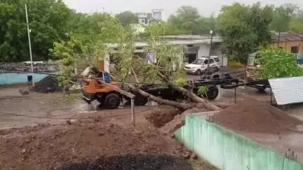 बहादुरपुर: बहादुरपुर में तेज हवा और आँधी की वजह से कई जगहों पर गिरे पेड़ व विद्युत पोल