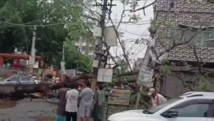 बांसवाड़ा: कोतवाली थाना क्षेत्र के राति तलाई में तेज आंधी-बारिश से पेड़ गिरा, कई वाहन दबे और बिजली आपूर्ति बाधित