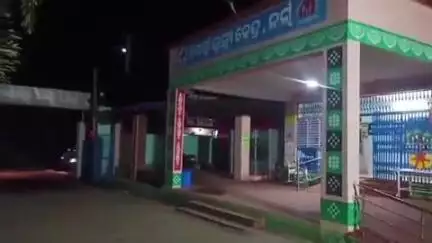 ନର୍ଲା: ରେଖପୁର ଗ୍ରାମରେ ମହୁମାଛି ଆକ୍ରମଣ ରେ ଜଣେ ଗୁରୁତର ଓ ଦୁଇ ଆହତ l