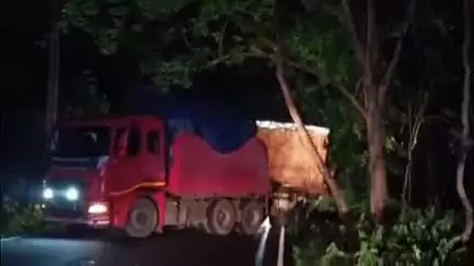 ములుగు: చిన్నబోయినపల్లి-తాడ్వాయి మధ్య రహదారిపై చెట్టు మధ్య ఇరుక్కున్న భారీ కంటైనర్, రాకపోకలకు అంతరాయం