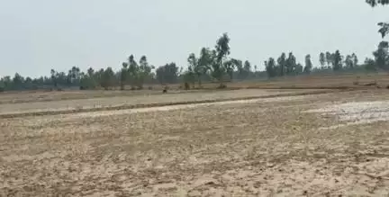 अमरिया: महिला की खेती की जमीन जोतकर धान की पौध लगाई जा रही है, महिला ने अमरिया थाना दिवस पर एसडीएम से न्याय की गुहार लगाई