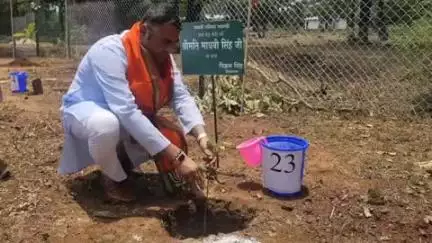 रामपुर बघेलान: विधायक विक्रम सिंह ने किया पौधारोपण, “एक पेड़ मां के नाम” अभियान में दिखाई भागीदारी