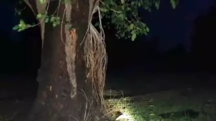 बटियागढ़: सिमरी गांव में आकाशीय बिजली गिरने से 3 किशोर हुए घायल, अस्पताल में कराया गया भर्ती