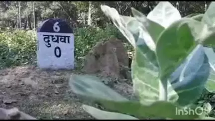 लखीमपुर: दुधवा नेशनल पार्क का दरवाज़ा 15 जून से बंद, ठहर जाएगा जंगल सफारी का रोमांच, नवंबर में फिर दिखेगा वन्यजीवों का जलवा
