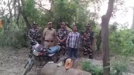 नौतनवा: भारत-नेपाल सीमा के पिलर संख्या 522 के पास से सेमर और बेल की लड़की बरामद