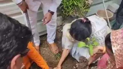 खंडवा: खंडवा विधायक द्वारा सिविल लाइन क्षेत्र में किया गया पौधरोपण