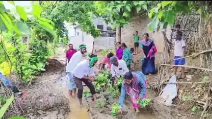 వైరా: ఖమ్మం జిల్లా ఏన్కూరు మండల కేంద్రంలో,  సిసి రోడ్డుపై వరి నాట్లు వేస్తూ భారతీయ గౌరు పోరాట సమితి నిరసన
