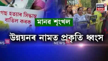 Guwahati News | মহানগৰীত শতিকাপুৰণি গছ কাটি তহিলং,  উন্নয়নৰ নামত প্ৰকৃতি ধ্বংসৰ বিৰোধিতা N18V