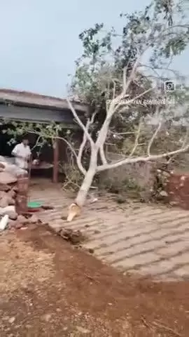 जय श्री राम दोस्तों दोस्तों आज हमारे गांव में बहुत भयंकर आंधी तूफान आया था जिससे हम गांव वालों का बहुत नुकसान हुआ है...