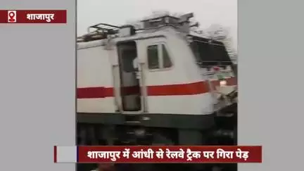 शाजापुर में आंधी से रेलवे ट्रैक पर गिरा पेड़, बिजली गिरने से युवा किसान की मौत