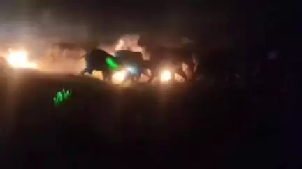 শালবনি: হাতির উপর আগুনের গোলা ছোড়ার ঘটনায় অভিযুক্তদের ধরতে থানার দ্বারস্থ বনদপ্তর