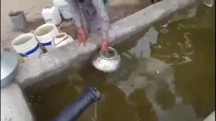 सिद्धमुख: भीमसाना में भीषण गर्मी के मध्यनज़र पानी के टेंकर में आया दुषित एवं मटमैला पानी, ग्रामीणों ने जताया रोष