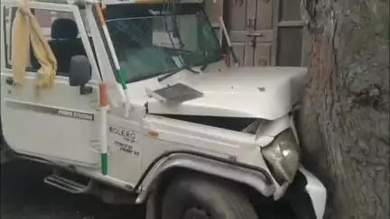 आबू रोड: आबू रोड के PED कार्यालय के पास आवारा मवेशी को बचाने में तेज रफ्तार पिकअप पेड़ से टकराई, चालक की मौत