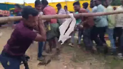 ନବରଙ୍ଗପୁର ପୋଲିସ ଷ୍ଟେସନ: ଡୁମୁରିଗୁଡା ଠାରେ ସିରା ବଜାର ଅନୁଷ୍ଠିତ, ହଜାର ହଜାର ଶ୍ରଦ୍ଧାଳୁଙ୍କ ସମାଗମ