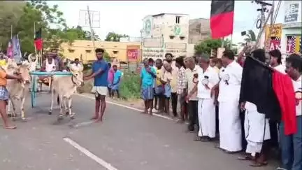 விளாத்திகுளம்: சுப்ரமணியபுரம் கிராமத்தில் விளாத்திகுளம் எட்டையாபுரம் சாலையில் முன்னாள் முதல்வர் கலைஞரின் பிறந்தநாள் விழாவை முன்னிட்டு மாட்டு வண்டி பந்தயம்