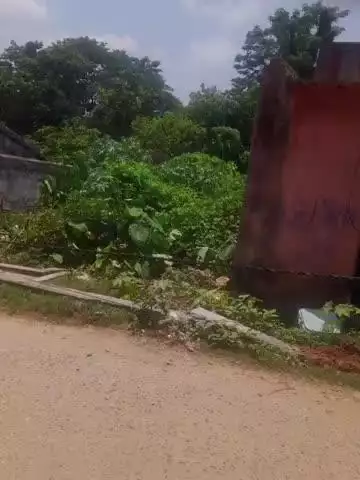 মানবাজার ২: জামতোড়িয়া এলাকায় লরির ধাক্কায় ভাঙলো ইলেকট্রিক পিলার