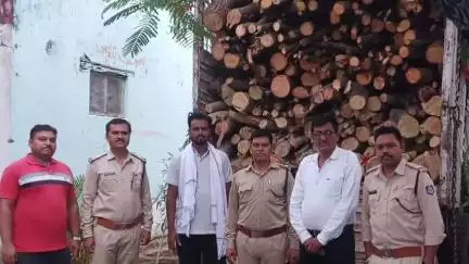 चांद: वन विभाग की टीम ने गौहर गांव के पास 10 क्विंटल लकड़ी से भरा ट्रक ज़ब्त किया