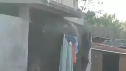 लावालौंग: जंगल से भटका हाथी इचेआहार गांव में घुसा, घर तोड़ा और मवेशियों को कुचला