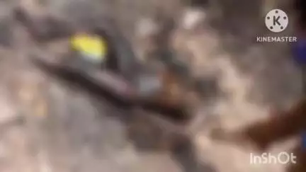 पुराना फाटक ओवर ब्रिज के नीचे परसदा के पास अज्ञात शख्स की लाश मिलने से क्षेत्र में फैली सनसनी, चकरभाठा पुलिस ने मामला दर्ज किया