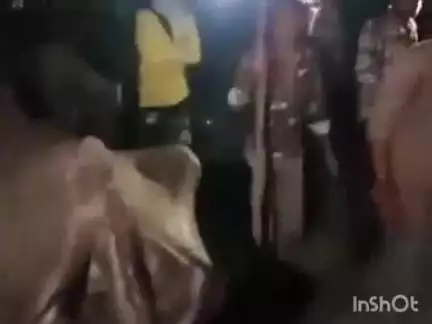 बड़ौदा: चोरी की भैंस के साथ आरोपी गिरफ्तार, बड़ौदा पुलिस को मिली सफलता