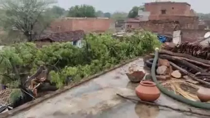 bijrari महोबा जिला के बिहारी नामक ग्राम में रामसू basor ke gar में लगा हुआ नीम का पेड़ 14 को।गिरा पेड़ हुआ भरी नुकसान