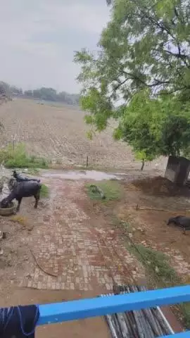 Daulatpur##village




@@@@@@######1112235#####