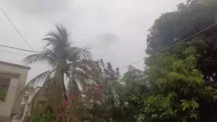 તળાજા: તળાજા તાલુકામાં ચોમાસાનું આગમન