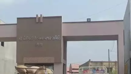 તળાજા: વરસાદને લઈને સાવચેતી રાખવા માટે માર્કેટિંગ યાર્ડ દ્વારા જાણ કરવામાં આવે