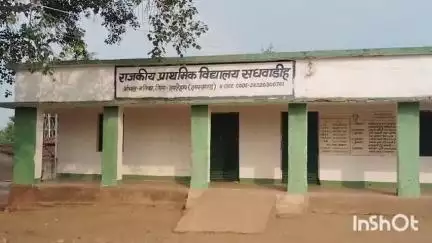 मनिका: मनिका साध्वाडीह गांव को आदर्श ग्राम का दर्जा मिलने के बाद भी विकास अधूरा