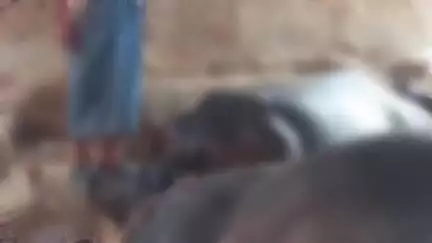 मझगवां: ग्राम खोहि में आकाशीय बिजली गिरने से किसान की दो भैंसों की मौत, पीड़ित ने थाने में शिकायत की