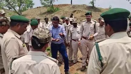 बुरहानपुर नगर: बुरहानपुर: शाहपुर के जंगल का डीएफओ ने किया निरीक्षण, पौधा रोपण के दिए निर्देश
