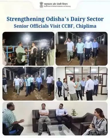 On 10th June 2025, Mr. V.A. Kulange, IAS, Director AH & MD OMFED, and Mr. S. B. Bondar, IAS, Collector Sambalpur, visited CCBF, Chiplima. They appreciated the farm’s role in supporting dairy farmers and discussed capacity building .
