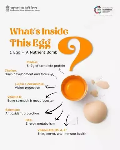 What’s Inside This Egg?
Just 1 egg packs a punch with:
 ✅6–7g of protein
 ✅Choline for brain power
 ✅Vision-boosting lutein & zeaxanthin
 ✅Vitamin D, B12, A, E & more!