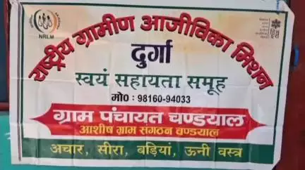 मंडी: मंडी की सावणी देवी बनीं हुनर और हौसले की मिसाल, स्वयं सहायता समूह से बदली तकदीर, महिलाओं को दिखाई स्वाबलंबन की राह