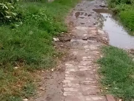 ग्राम खगाई नागर पोस्ट जसाई नागर तहसील बहेड़ी जिला बरेली