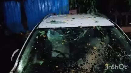 ठाणे: राबोडी परिसराच्या साकेत कॉम्प्लेक्स येथे दोन गाड्यांवर पडले झाड,गाड्यांचे नुकसान